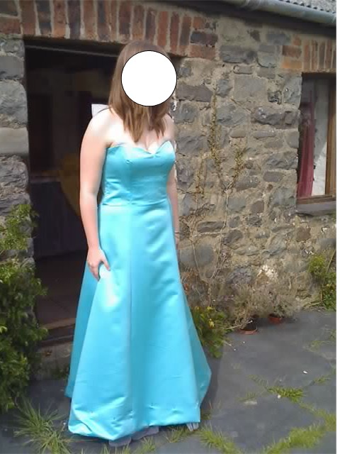 Sarahs Dress